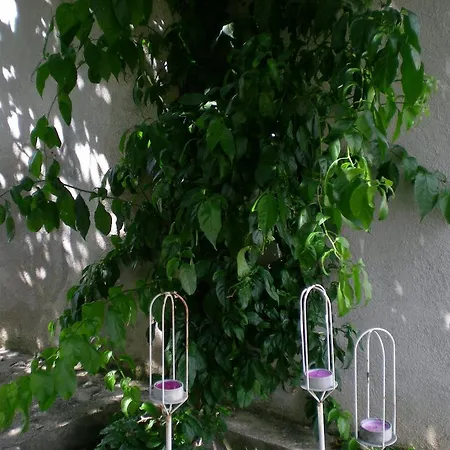 I Karma Apartment Tisno