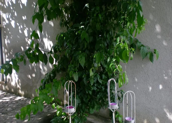 I Karma Appartamento Tisno